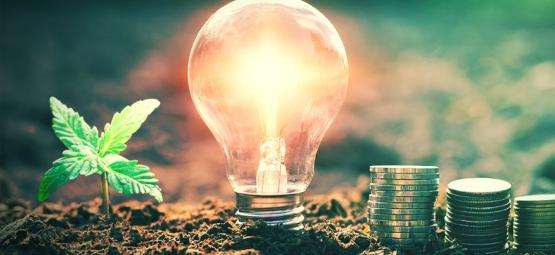 Jak ušetřit na nákladech za energii při indoor pěstování konopí