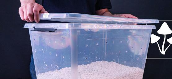 Jak vyrobit shotgun plodící komoru (SGFC) na pěstování hub