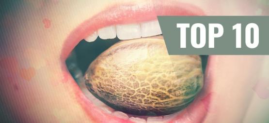 Top 10 nejchutnějších odrůd konopí