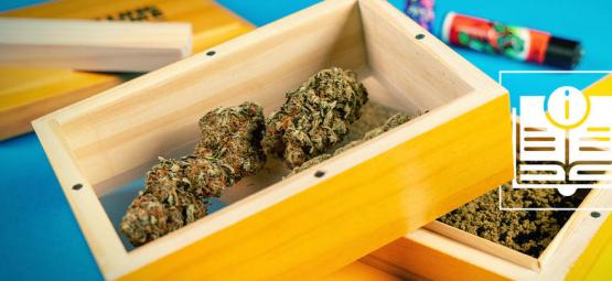 Podrobný návod, jak vyrobit dry sift hašiš doma