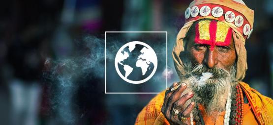 Průvodce různými druhy hašiše z celého světa