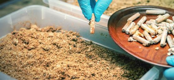 Sterilní technika pro pěstování lysohlávek