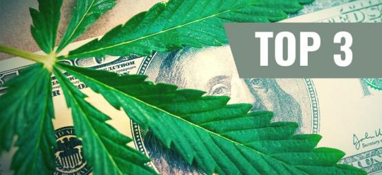 Nejdražší odrůdy konopí (+ cenově dostupné alternativy)