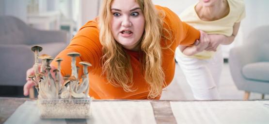 Jsou lysohlávky návykové?