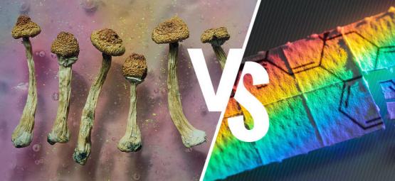 Lysohlávky versus LSD: Jaký je mezi nimi rozdíl?