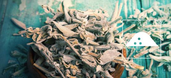 Jak vyrobit extrakt ze Šalvěje divotvorné ze suchých listů