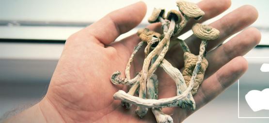 Jaké jsou nejsilnější druhy magických hub?