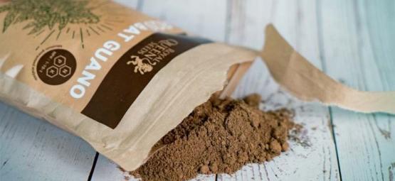 Kdy a jak použít netopýří guáno při pěstování konopí