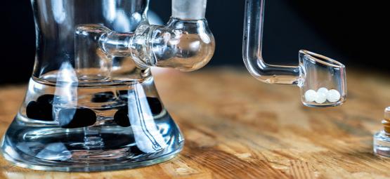 Co jsou terp pearls a jak fungují