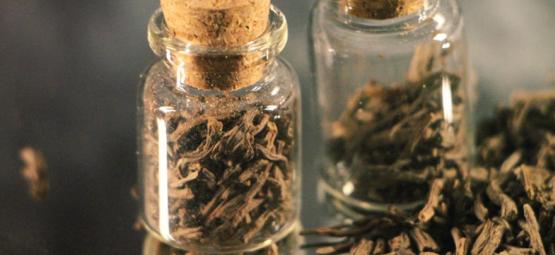 Co je to kořen kozlíku lékařského?