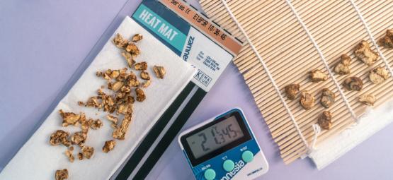 Jak sušit magické lanýže