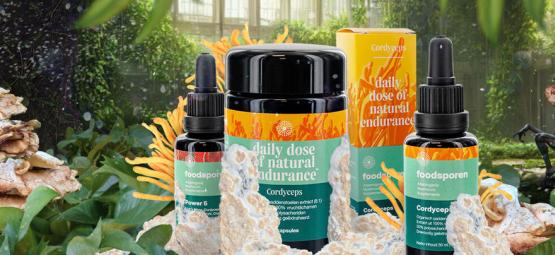 Cordyceps: Co byste o něm měli vědět