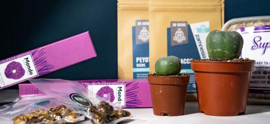 10 nejlepších dárků pro psychonauty