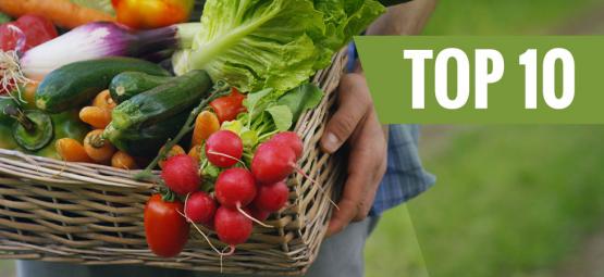 Top 10 nejjednodušších druhů zeleniny na pěstování