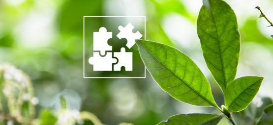 Mikrodávkování DMT: Základní přehled