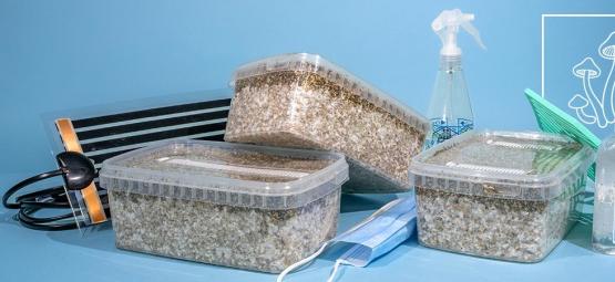 How to choose the right Magic Mushroom grow kit