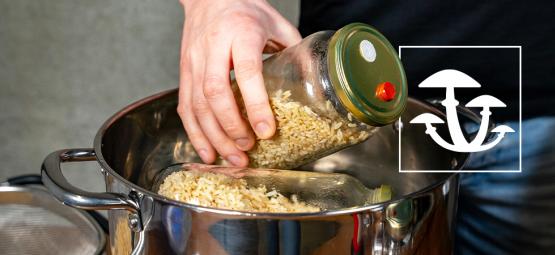 Jak připravit houbový spawn bez tlakového hrnce