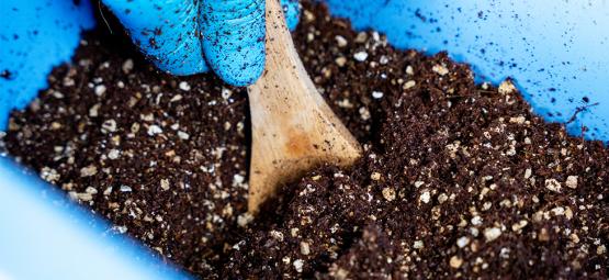 Jak připravit substrát CVG pomocí metody Bucket tek