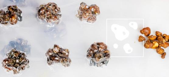 Metody microdosingu s magickými lanýži