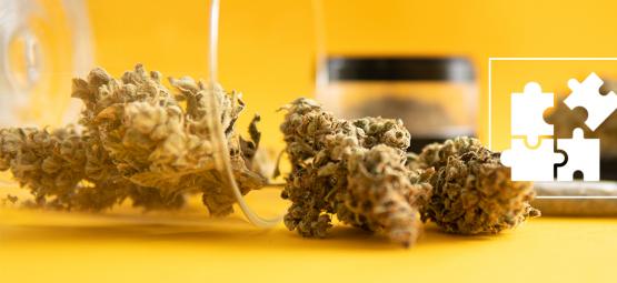 Mikrodávkování THC: Co to je a jak funguje?