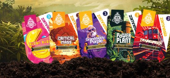 Zamnesia Seeds Show epizoda 4: Klasické legendy