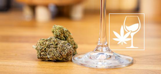 Jak správně párovat trávu s vínem