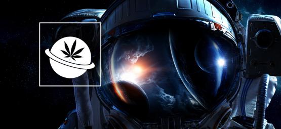 Pěstování konopí ve vesmíru