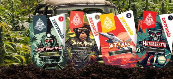 Přehlídka odrůd Zamnesia: Nastartujte svou fantazii