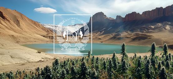 Minulost, přítomnost a budoucnost afghánského landrace konopí