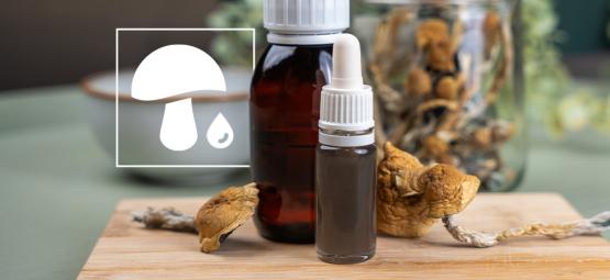 Mushroom Drops: Podrobný průvodce