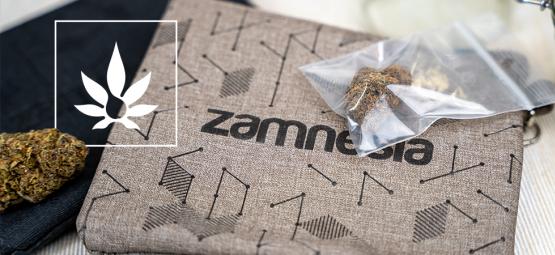 Vývoj balení konopí: Od hnědých sáčků k luxusním boxům