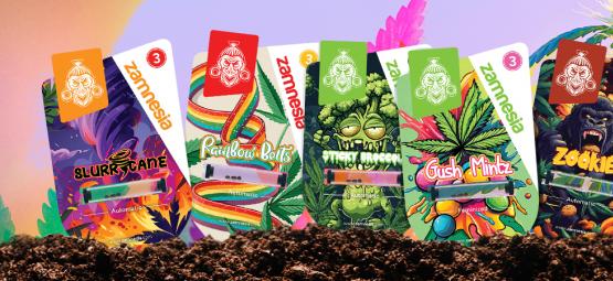 Přehlídka odrůd Zamnesia: Fiesta chutí