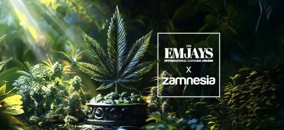 The Emjays – Mezinárodní ceny za konopí – Zamnesia slaví velký úspěch