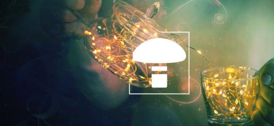 Jak připravit čaj z magických lanýžů / lysohlávek