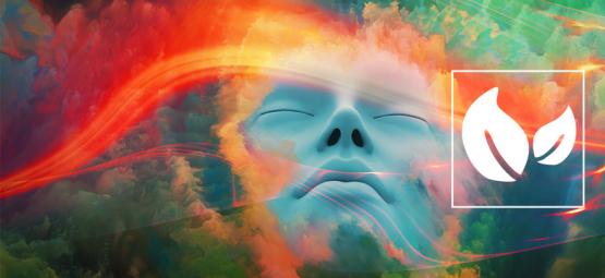 Putování snovým světem s bylinou Calea zacatechichi