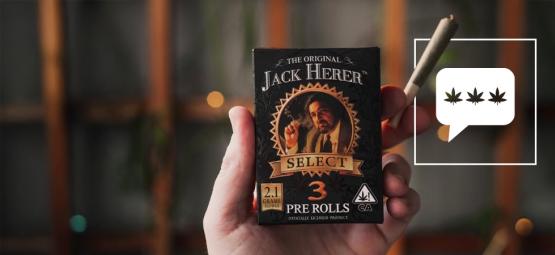 Rozhovor s Danem Hererem