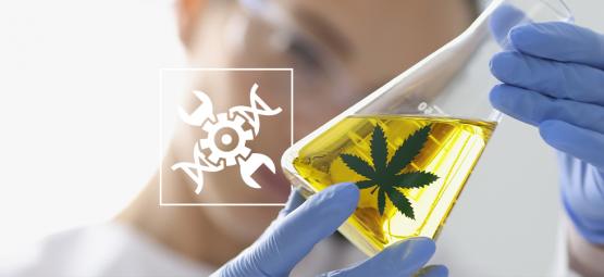 Konopí v biohackingu: Jedinečný přístup k modernímu wellness