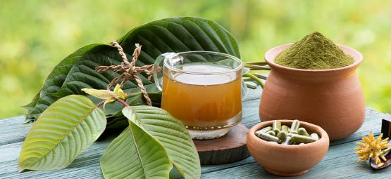 Závislost na kratomu a odvykací příznaky