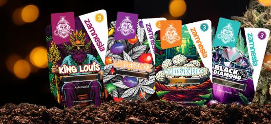 Přehlídka odrůd Zamnesia: Royal Vault