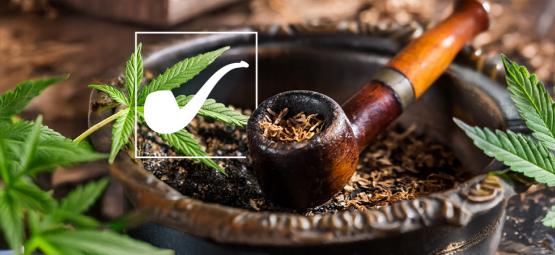 Je dlouholist z Pána prstenů tráva (weed)?