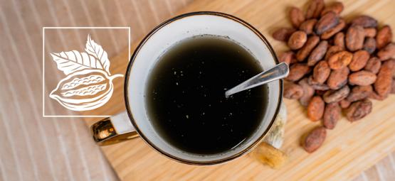 Aztécká kombinace: Míchání psilocybinu s kakaem