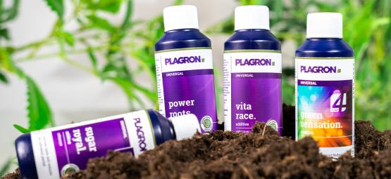 Nejlepší organická hnojiva pro pěstování konopí