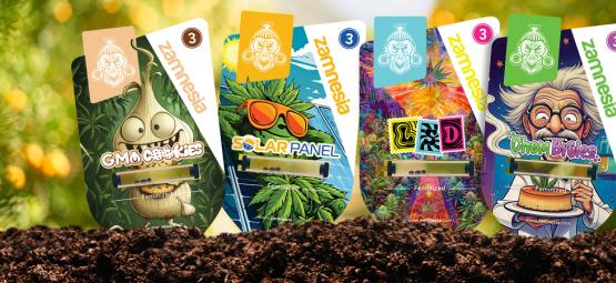 Vítejte v Sektoru Z: Tajná konopná mise