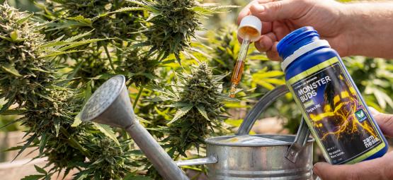 Maximalizuj růst s Monster Buds: kompletní řada hnojiv pro každou fázi růstu