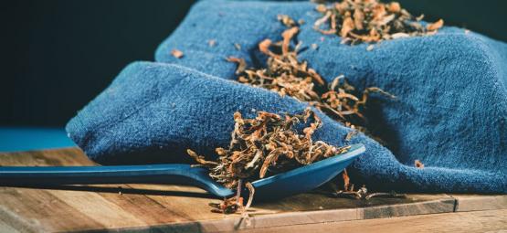 Wild dagga: jemný euforizující bylinný prostředek