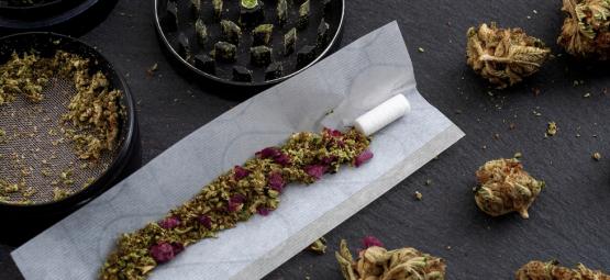 Top 10 alternativ tabáku do jointů