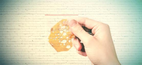 Věda o BHO: Proč při extrakci používat vakuové očišťování a jak na to