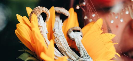 Jak se připravit na bezpečný psychedelický výlet