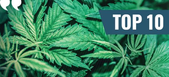 Top 10 nejlepších citátů o marihuaně všech dob