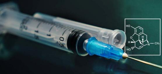 Nový výzkum: Jak vyrobit morfin z cukru a vody